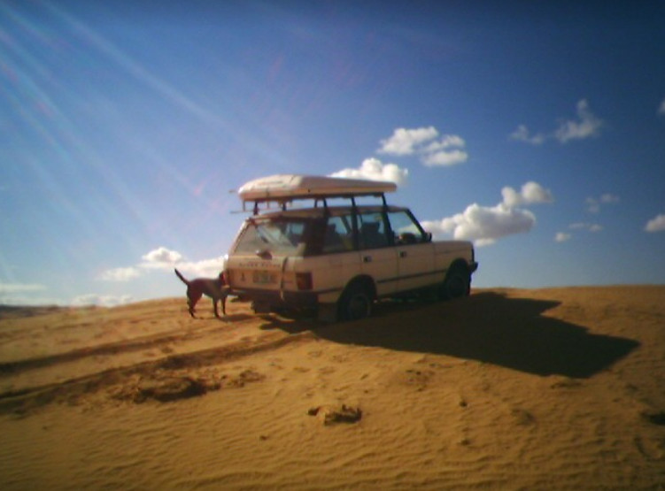 Gallery thumbnail