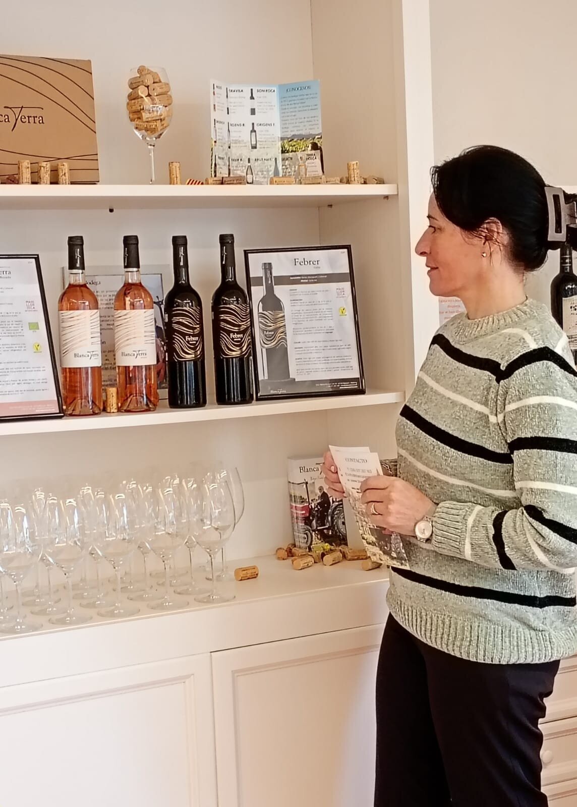 Galería en miniatura