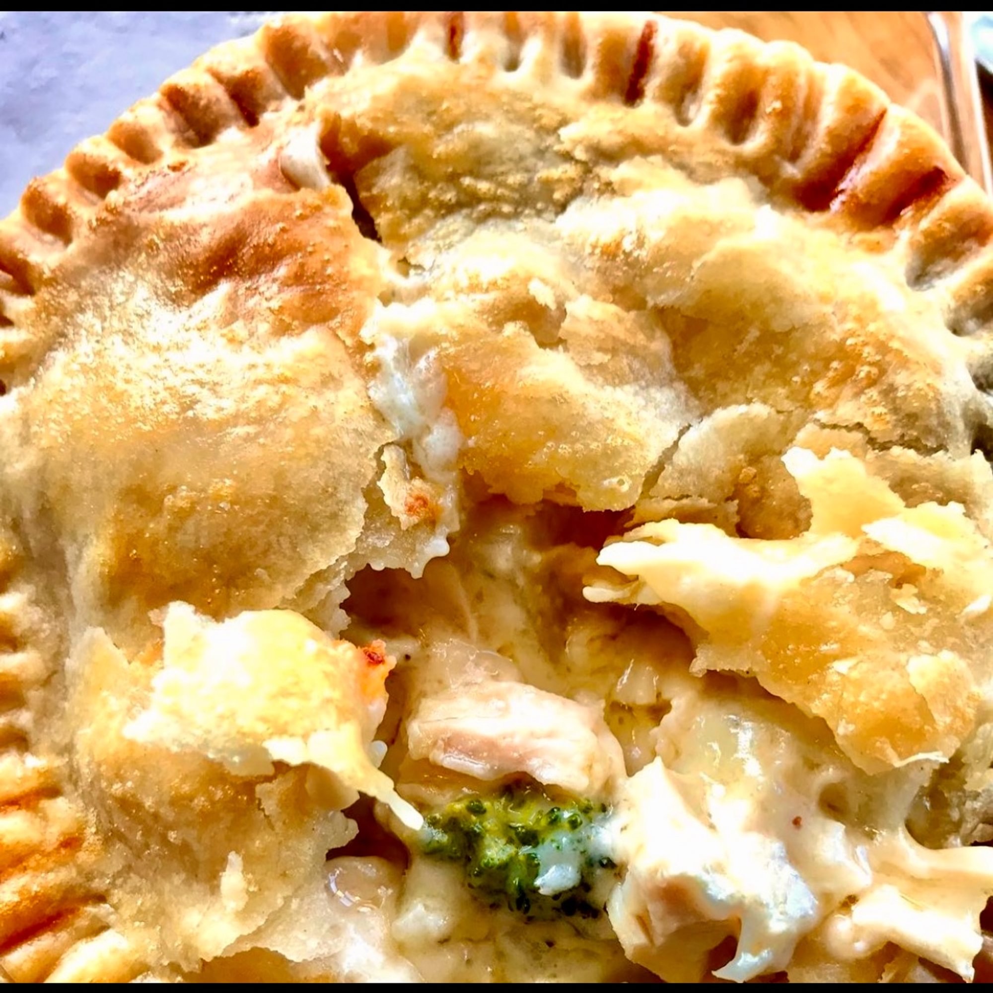 Alfredo - 5" Individual - 4 pk (Must order 24hrs. in advance.)