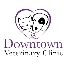 Downtown Veterinary Clinic Photo