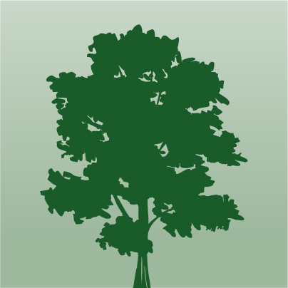 Mapleton Family Dentistry