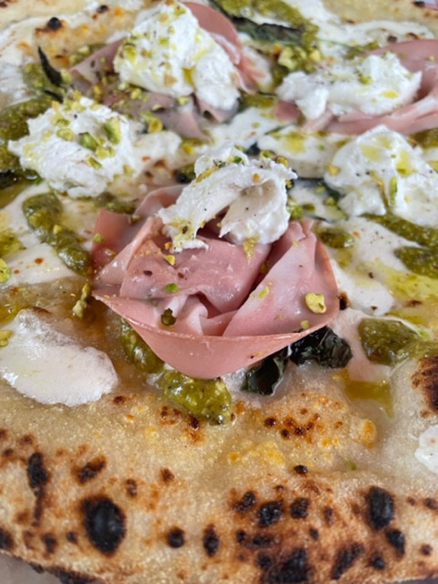 Mortazza tua