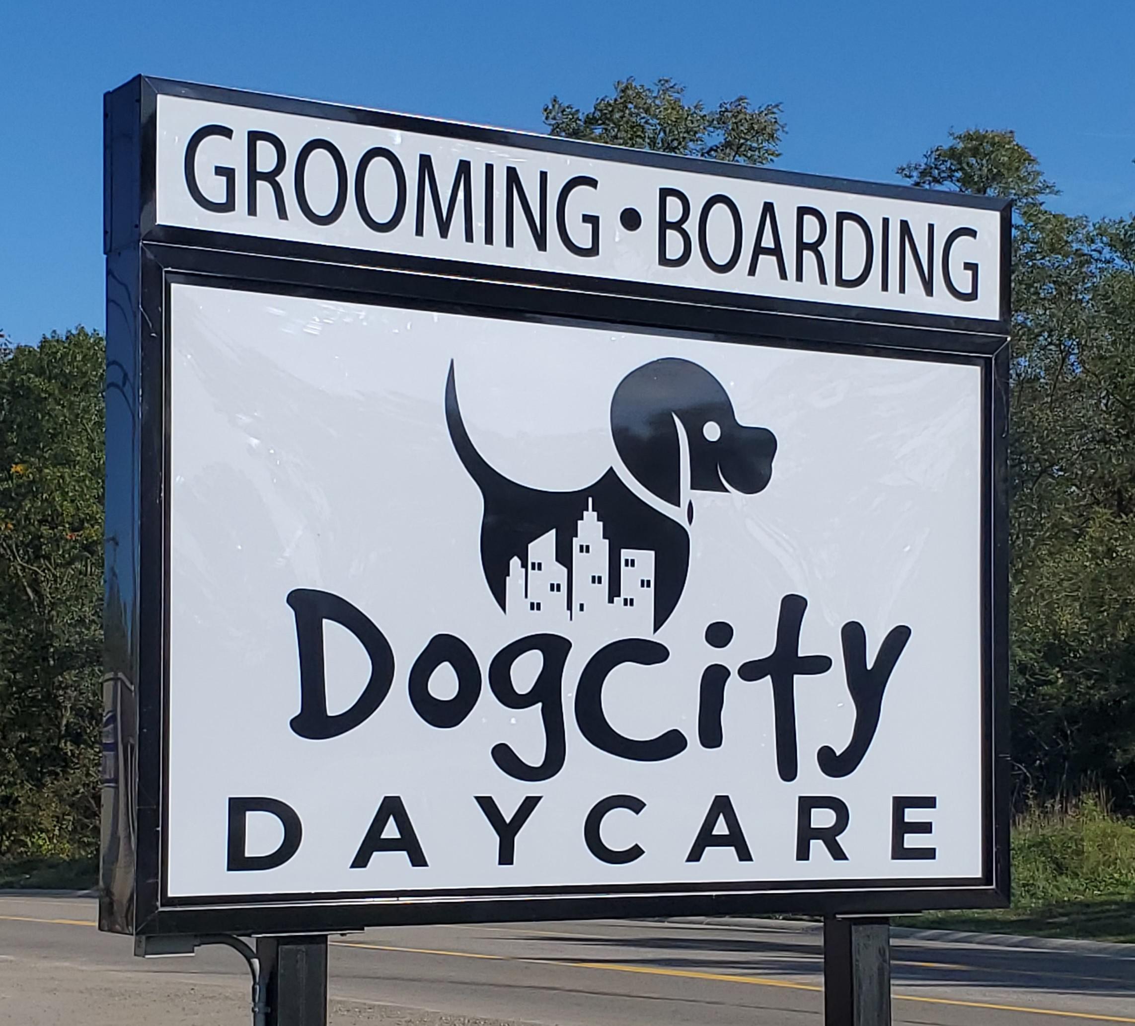 Dog City Daycare Photo