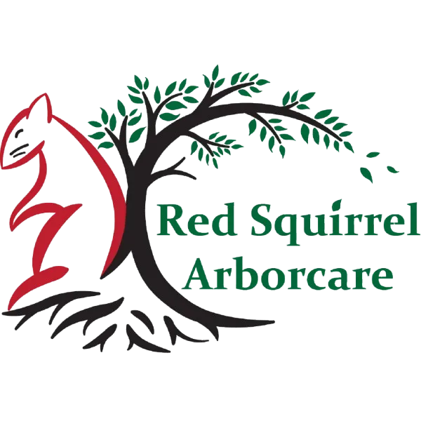 Red Squirrel Arborcare