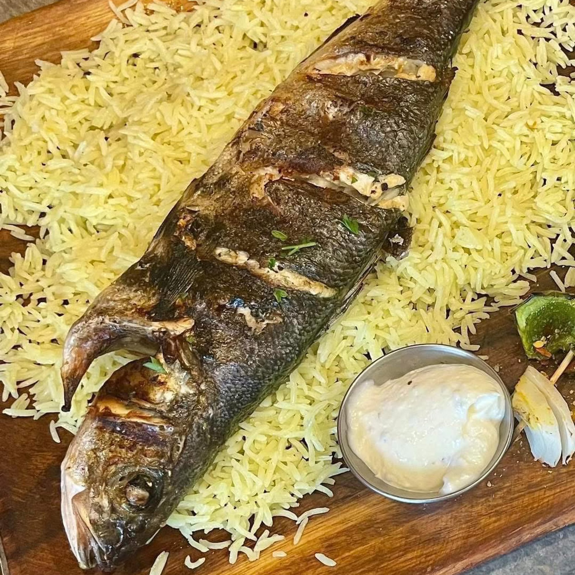 Fish of the Day