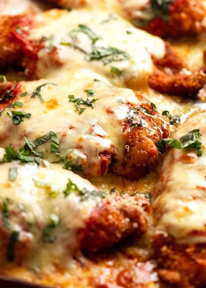 Chicken Parmigiana Family