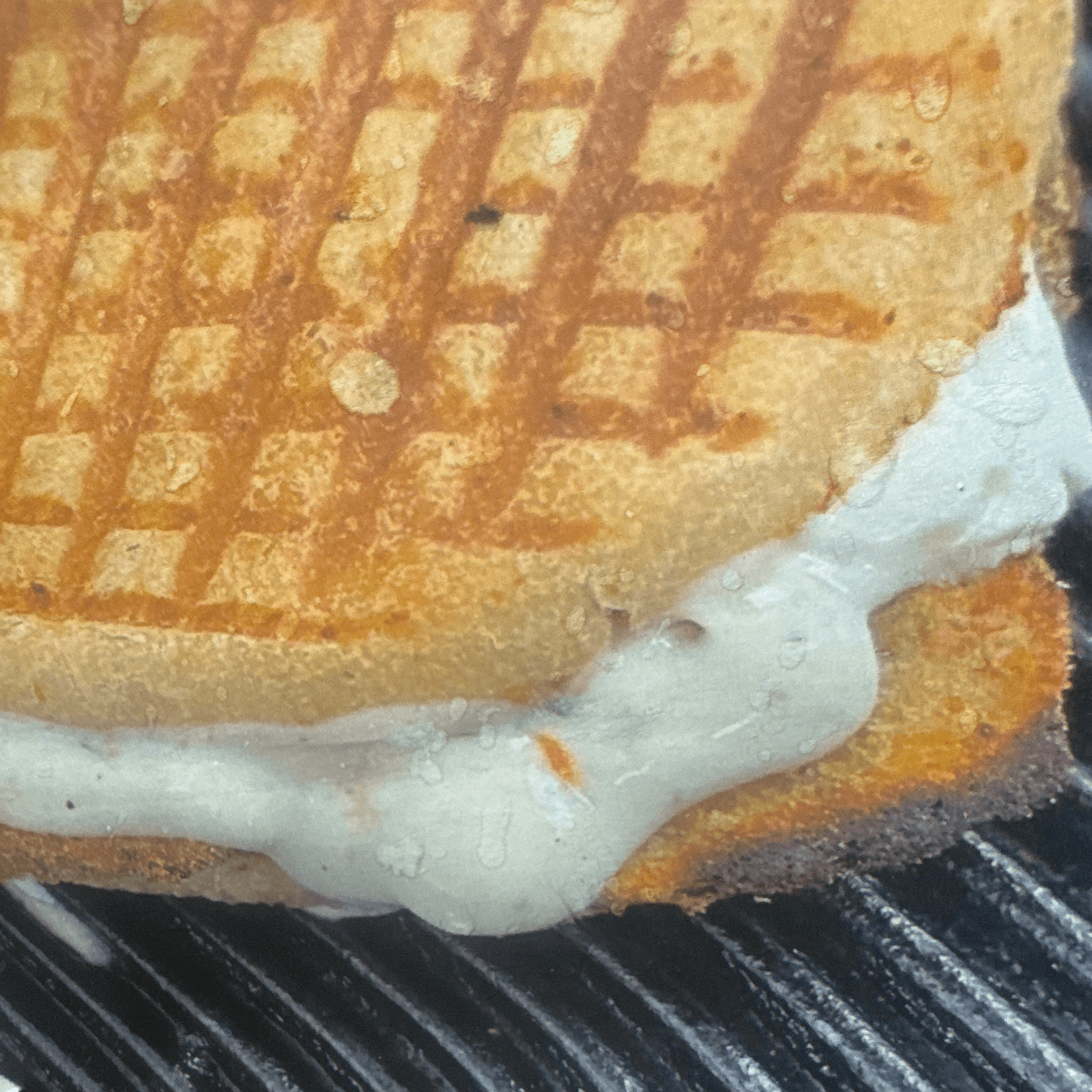 Eggplant, Fresh Mozzarella, Roasted Peppers & Ranch Panini