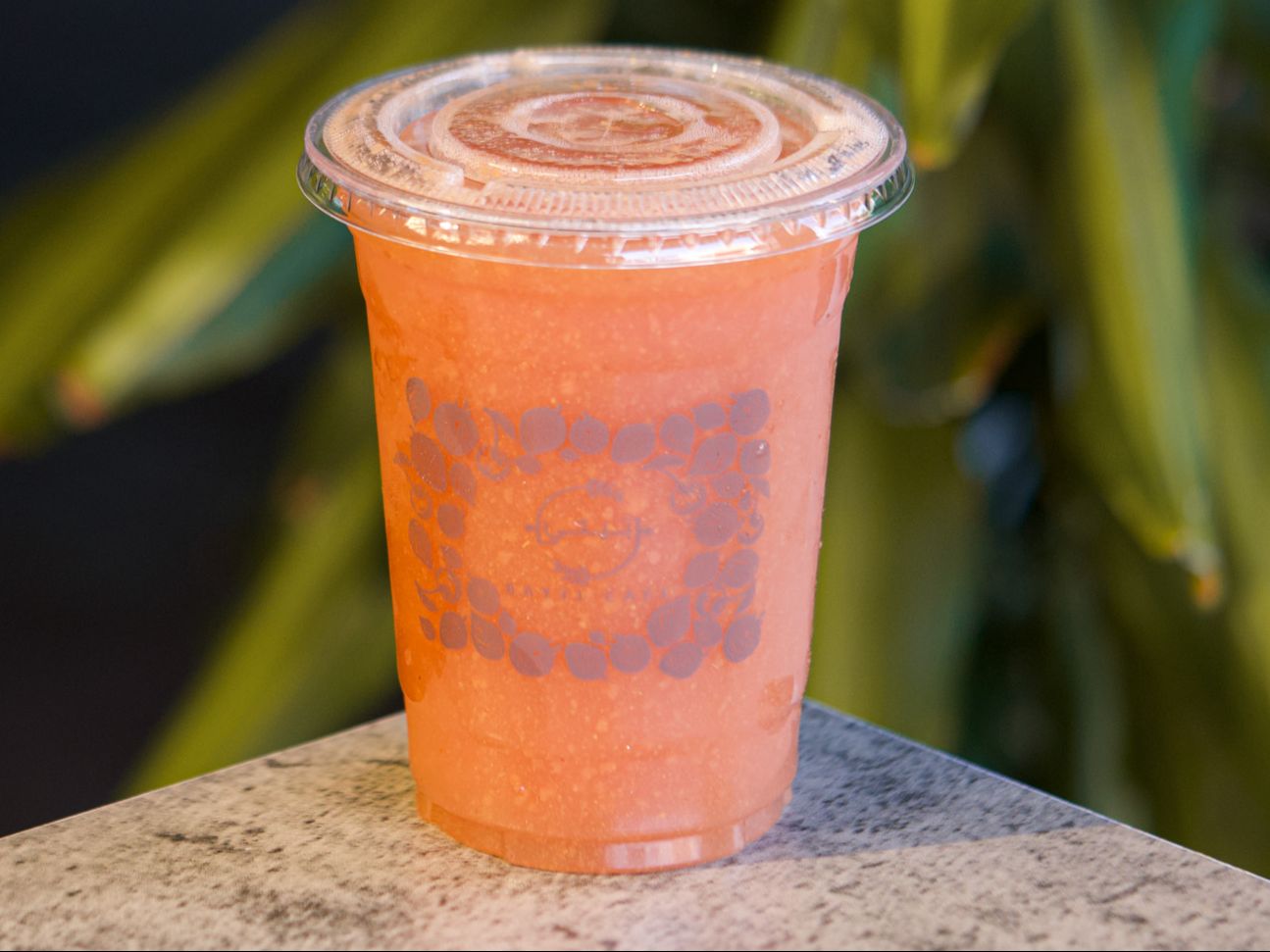 Orange Carrot (J)
