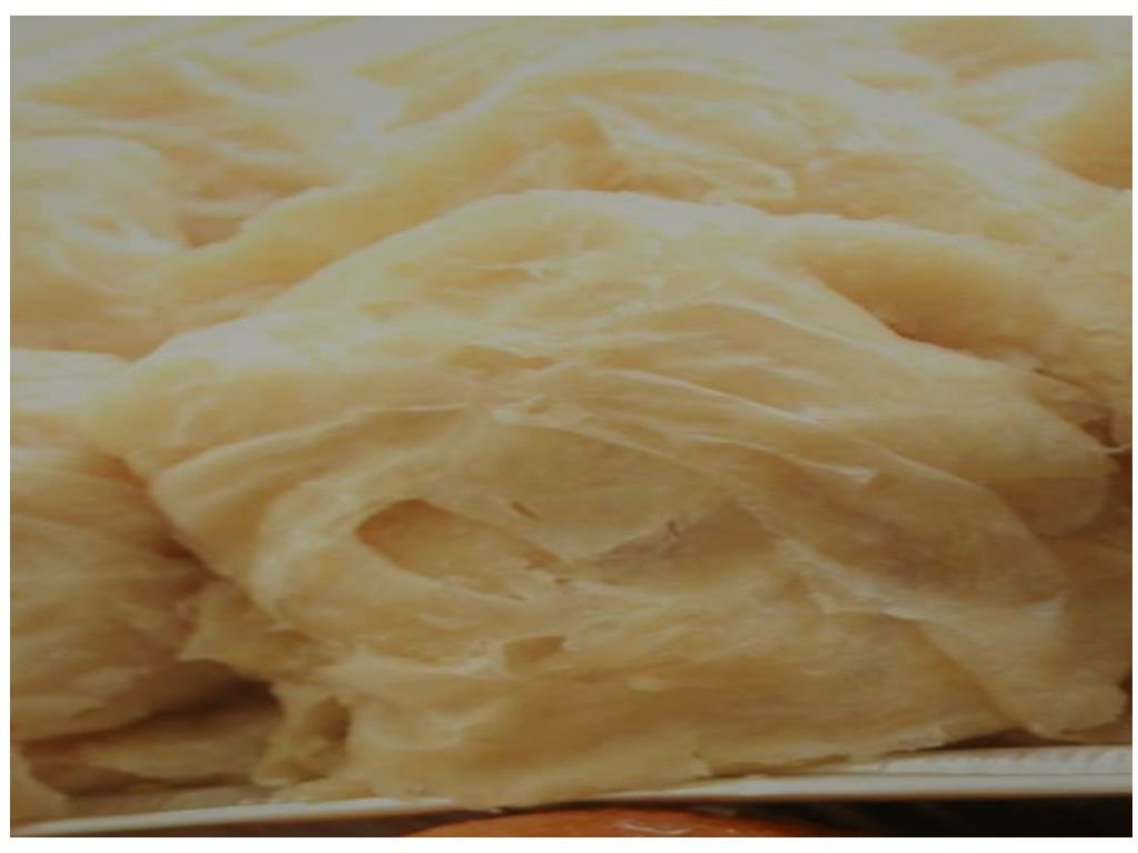 Roti Plain