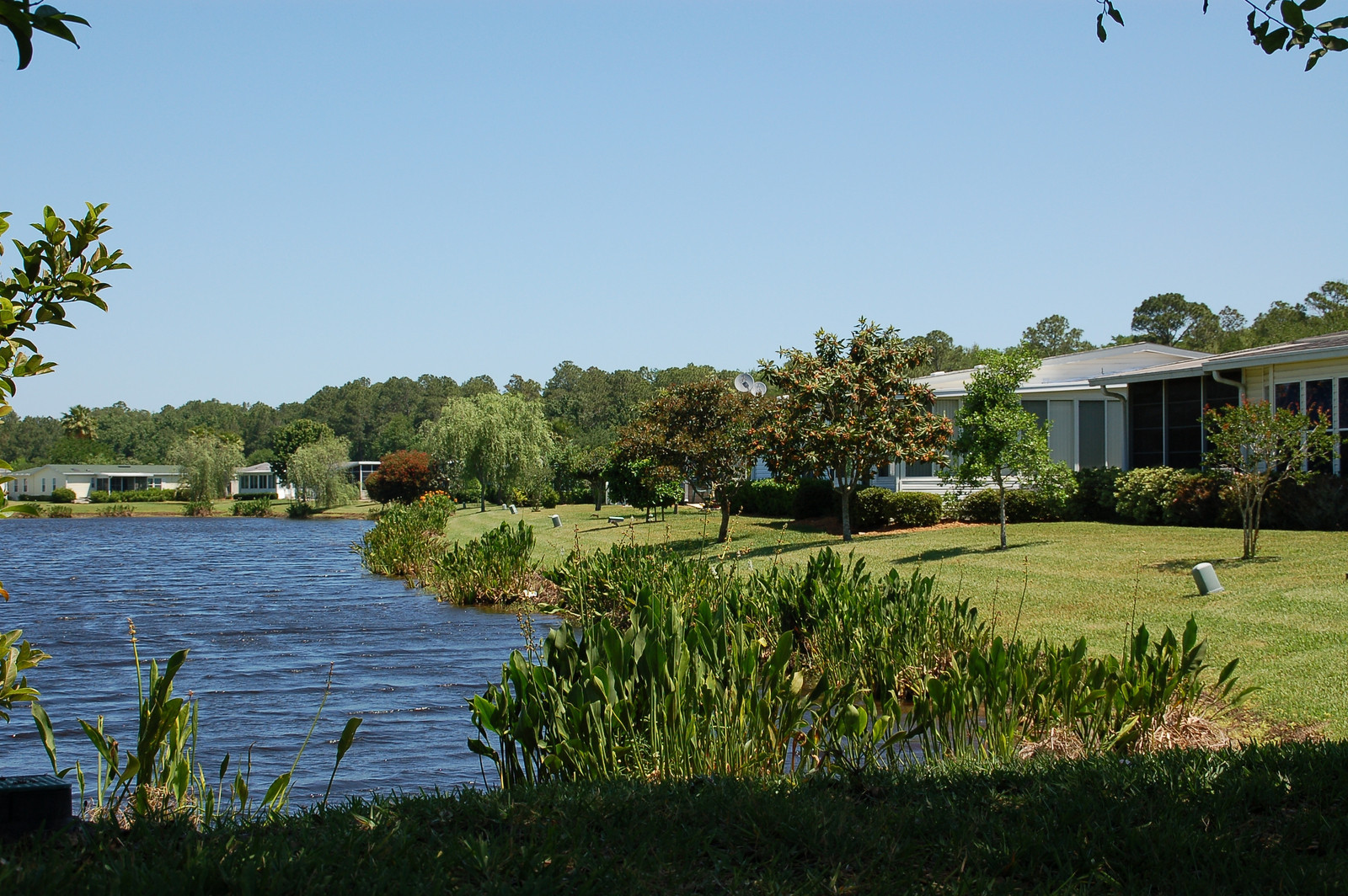 Coquina Crossing Photo