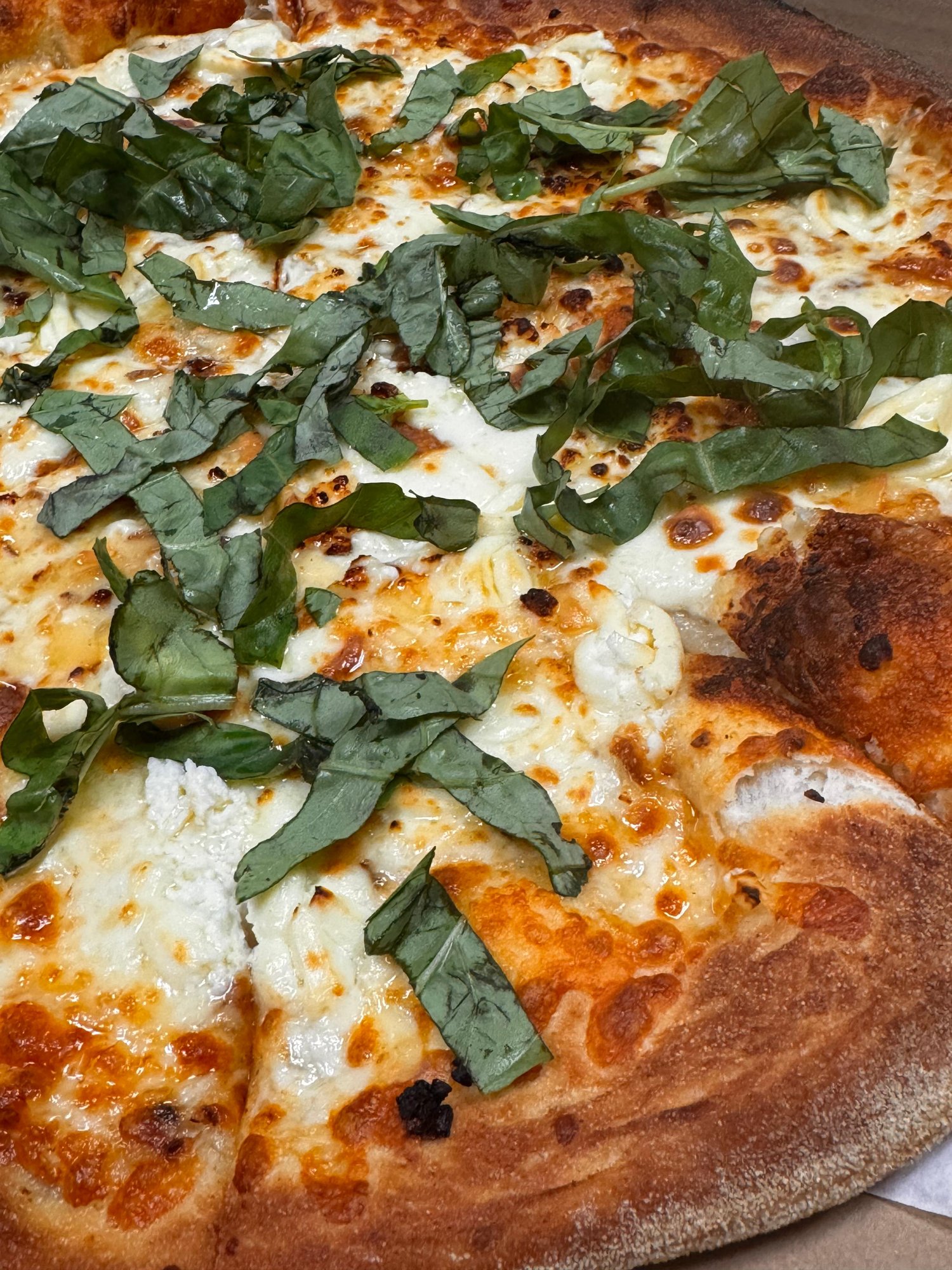 FIVE CHEESE PIZZA