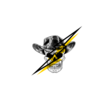 JessiJames Outlaw Electric LLC Logo