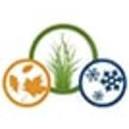 Blakney Lawn Maintenance, LLC