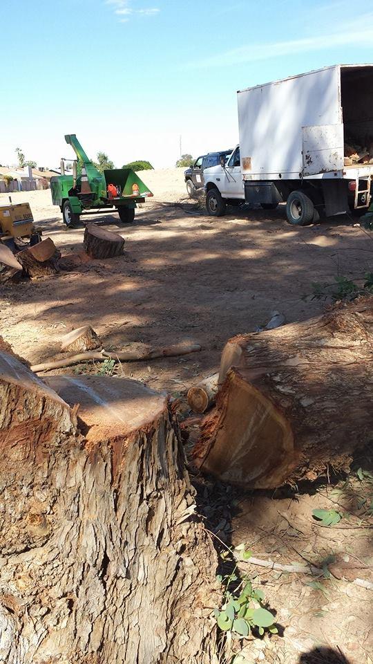 Pendleton Tree Service Yuma, AZ Business Profile