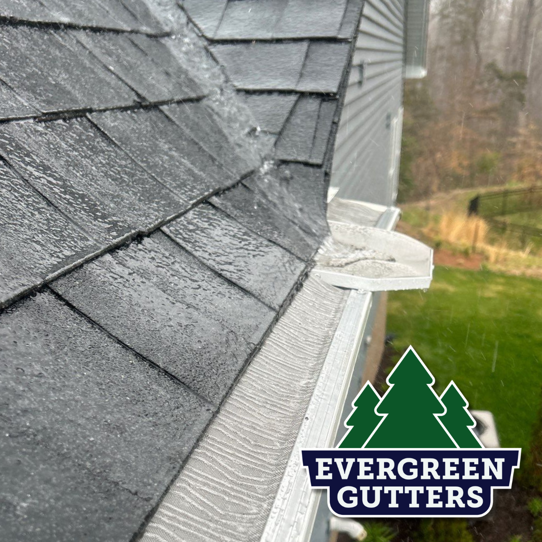Evergreen Gutters Image