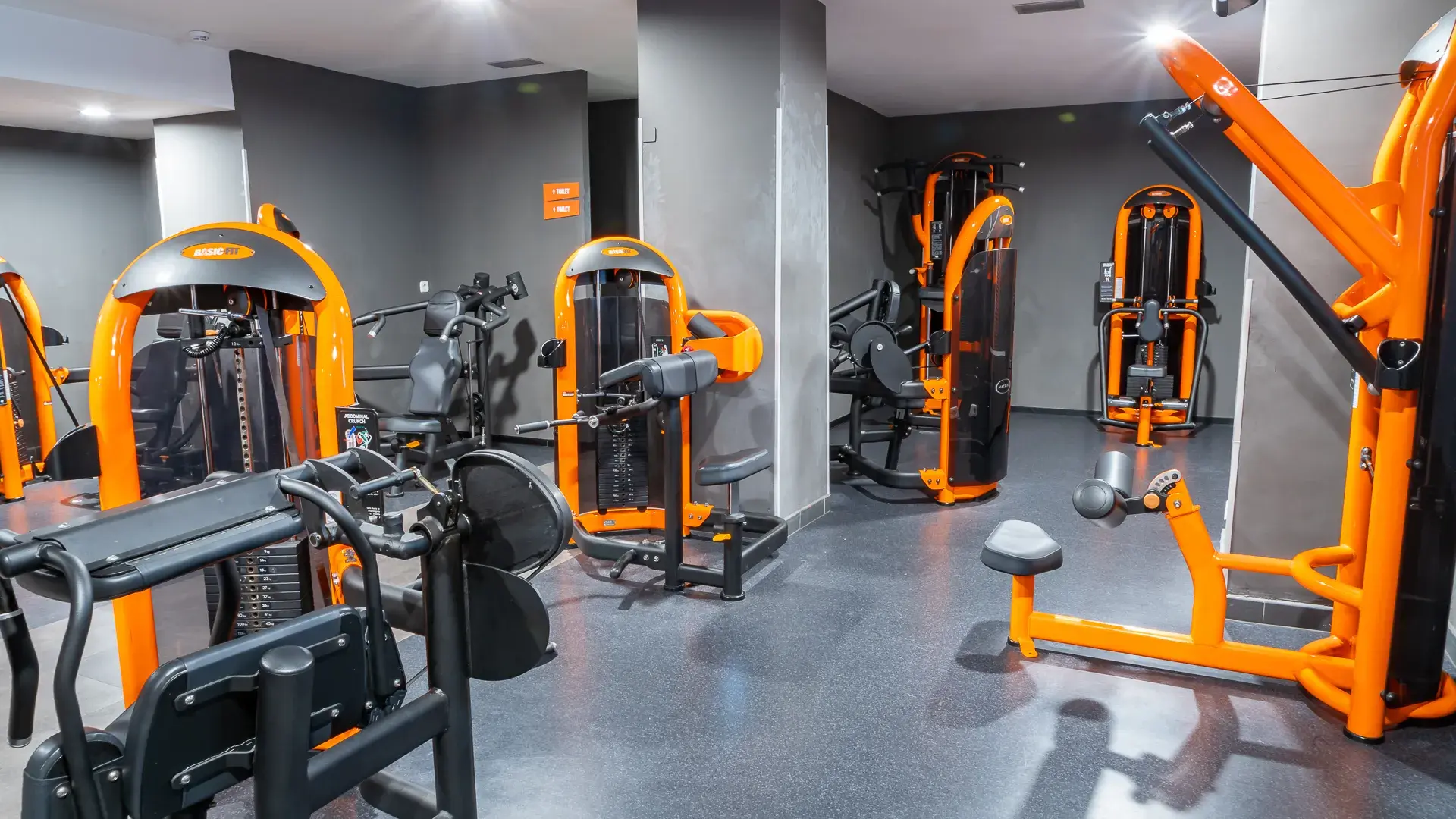 Galería de imágenes