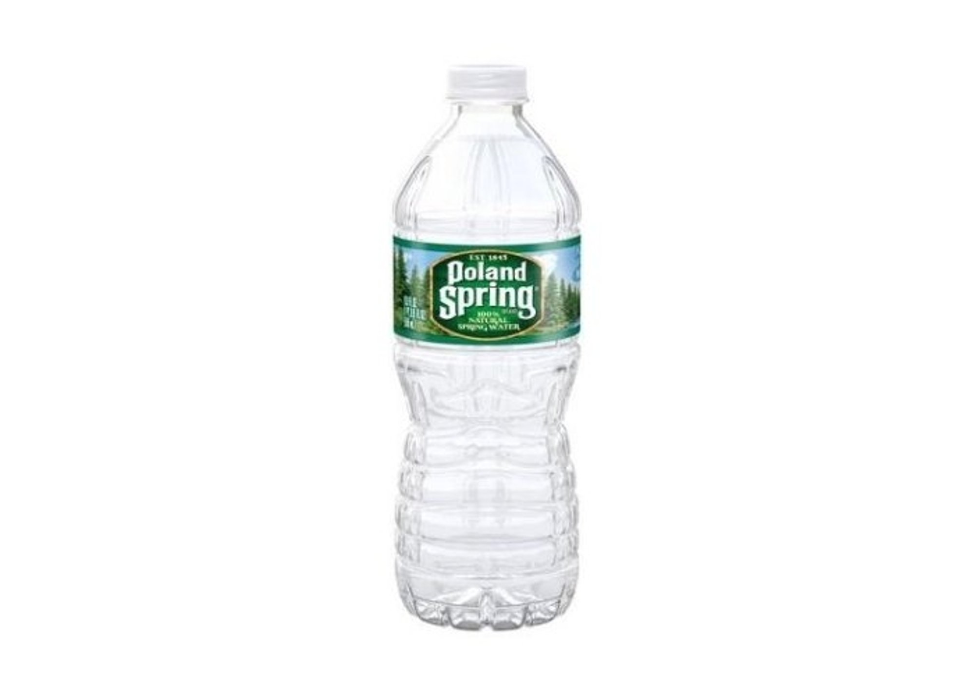 Poland Spring 16.9oz