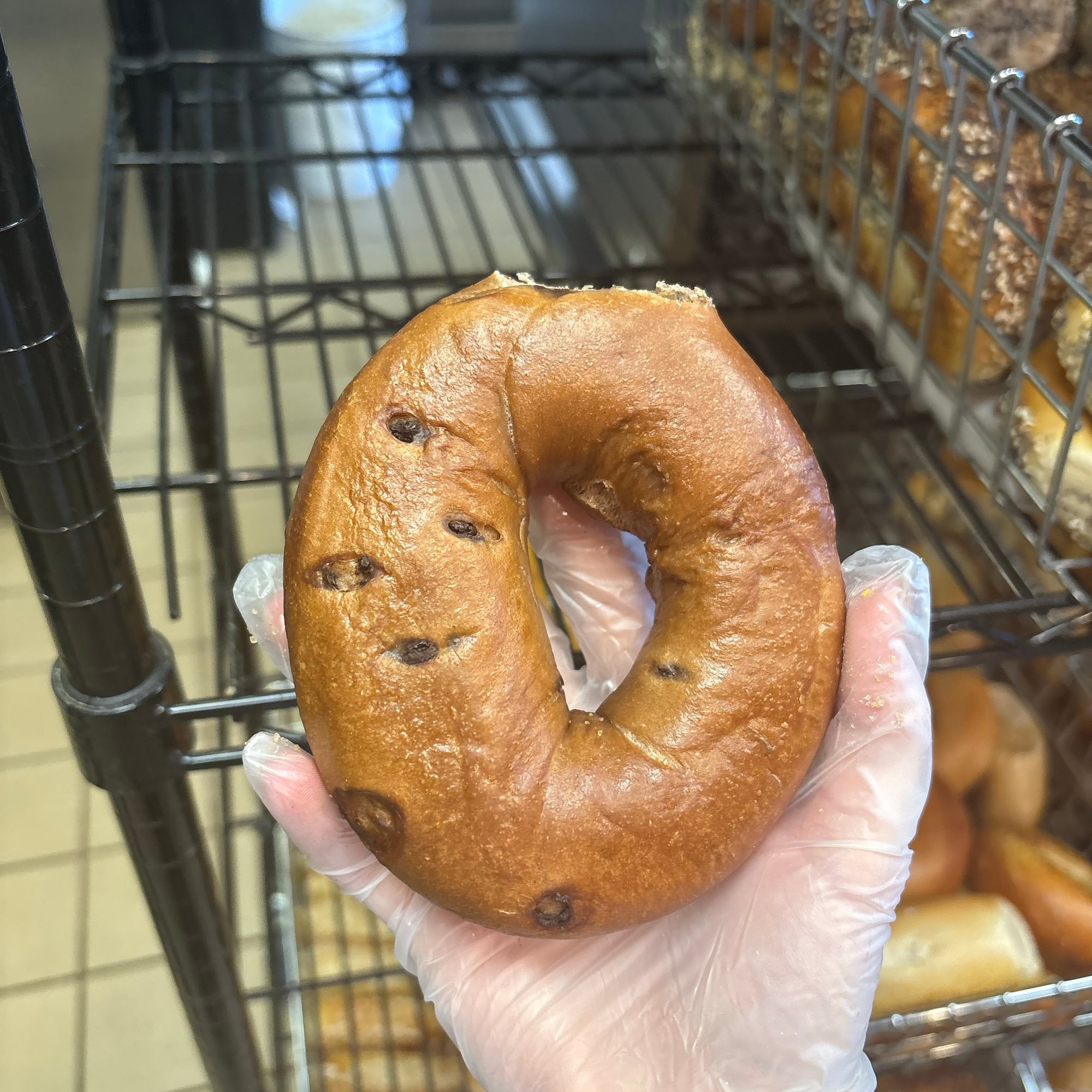 Chocolate Chip Bagel