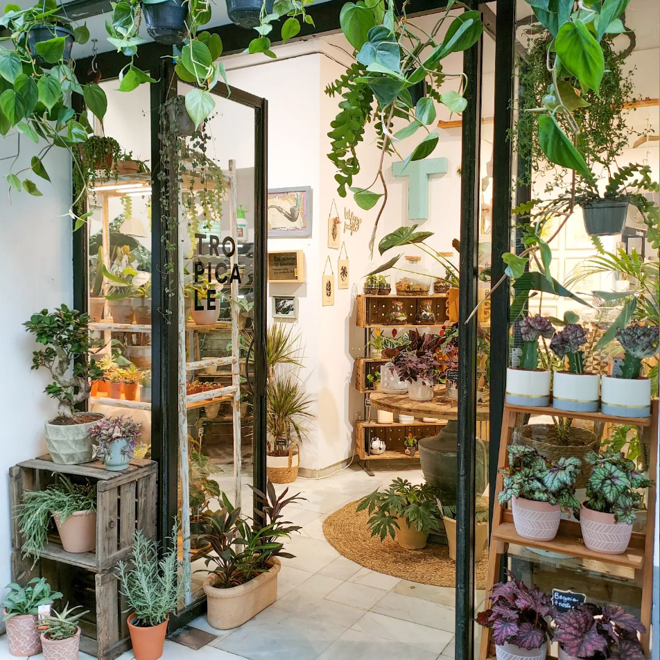 Galería en miniatura