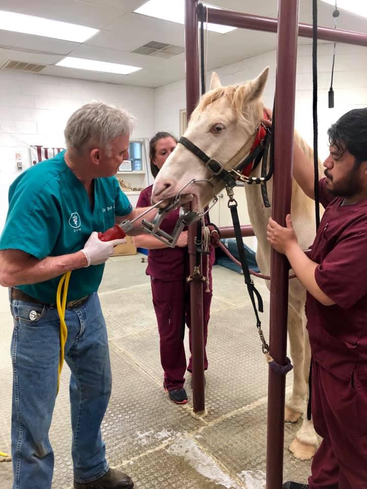 Judd Veterinary Clinic Photo