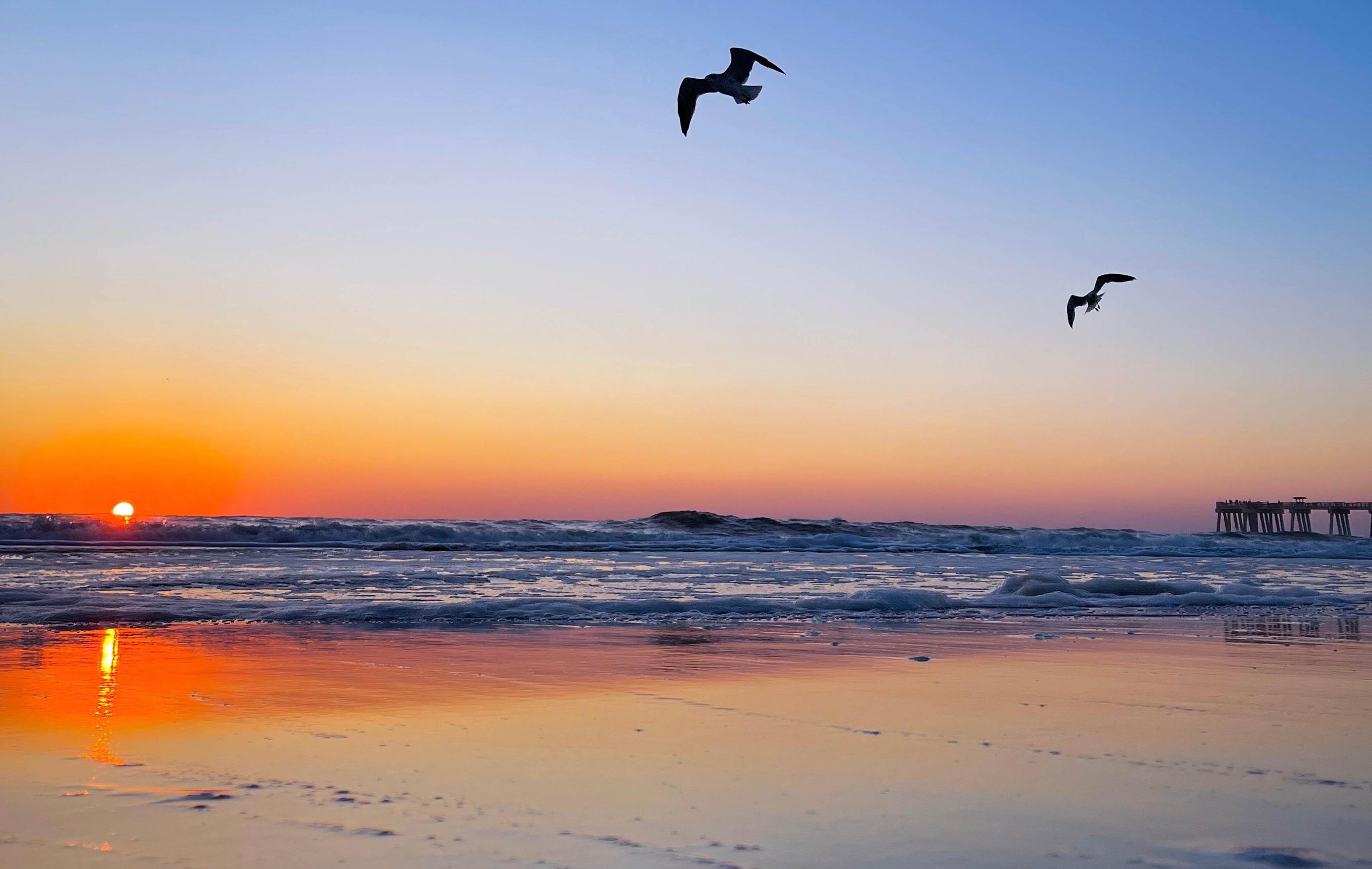 Margaritaville Beach Hotel Jacksonville Beach Image