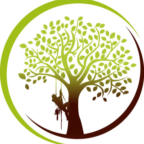 Clean Cuts Trees Logo