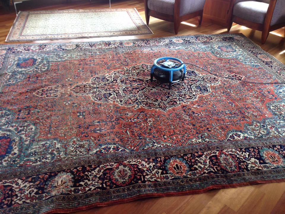 Quality Carpet Cleaning Image