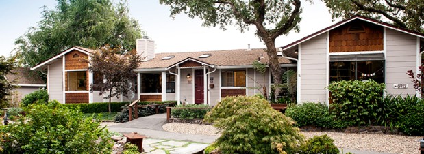 The Country Vet Photo