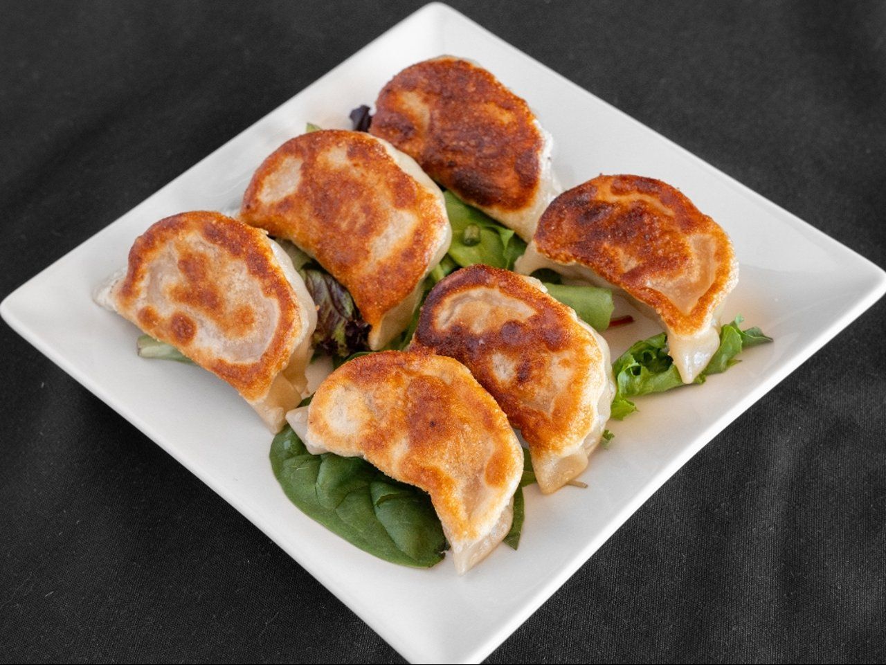 Pan Fried Pork Dumplings