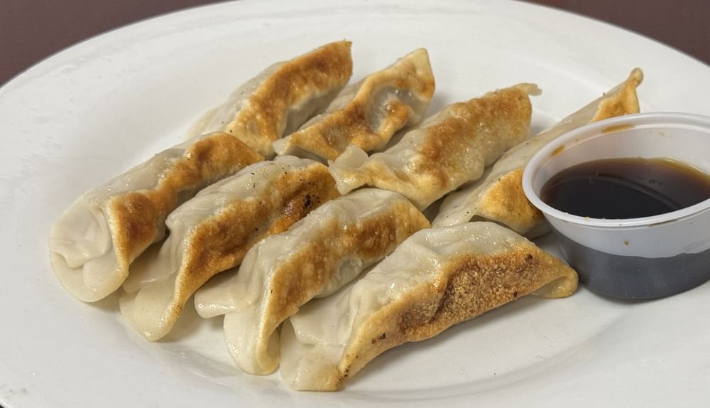 Chicken Dumplings