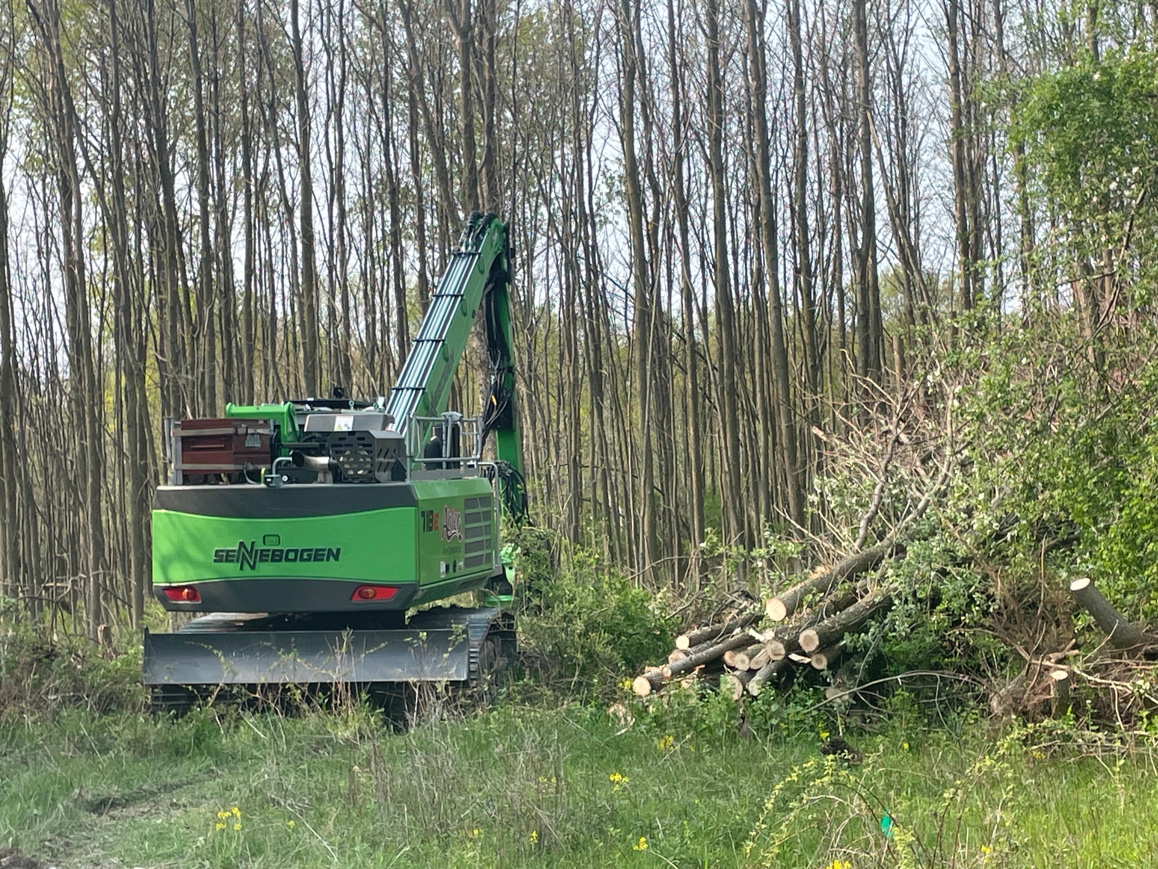 Abler Tree Company LLC Image
