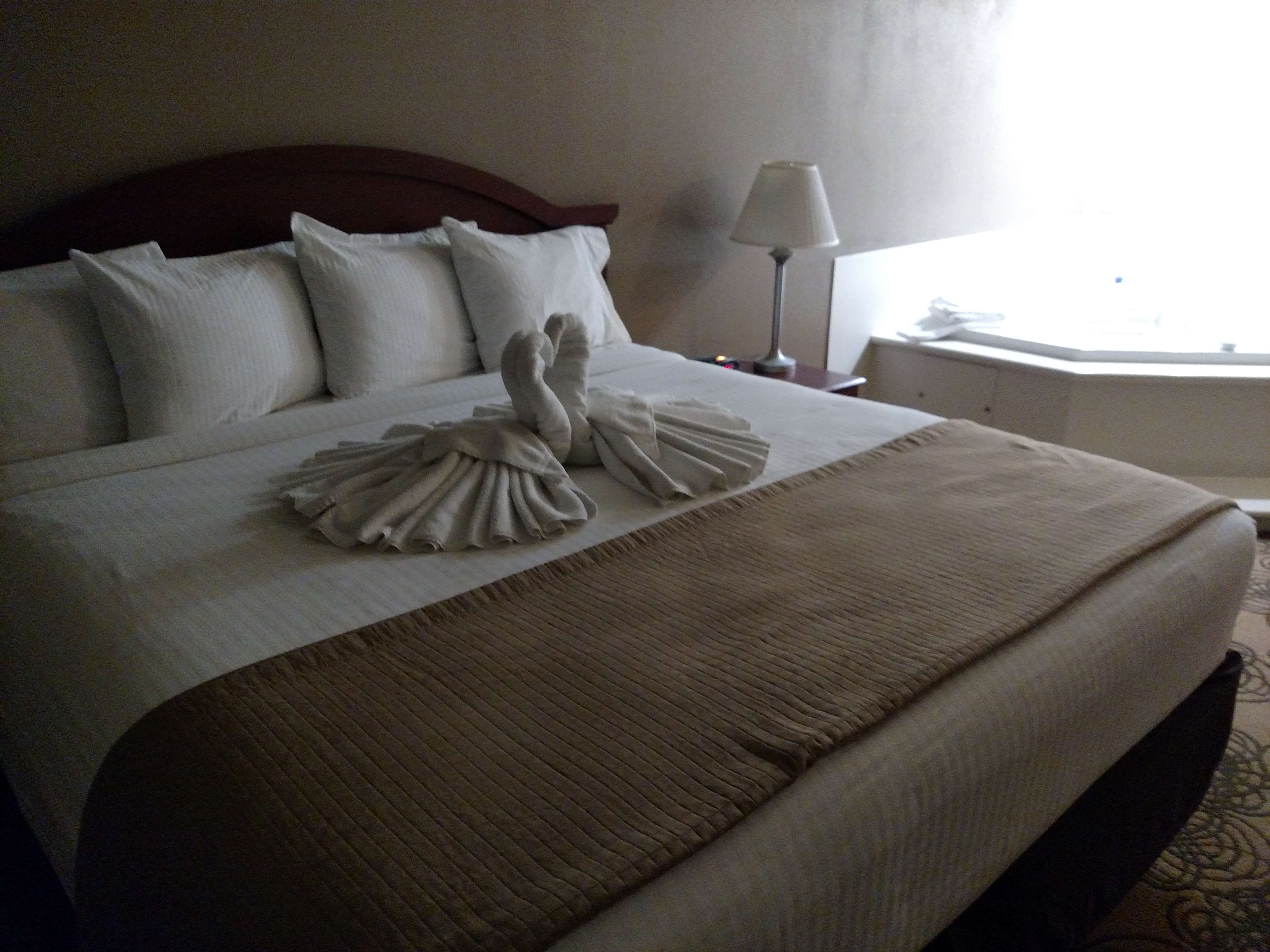 Best Western Elko Inn Photo