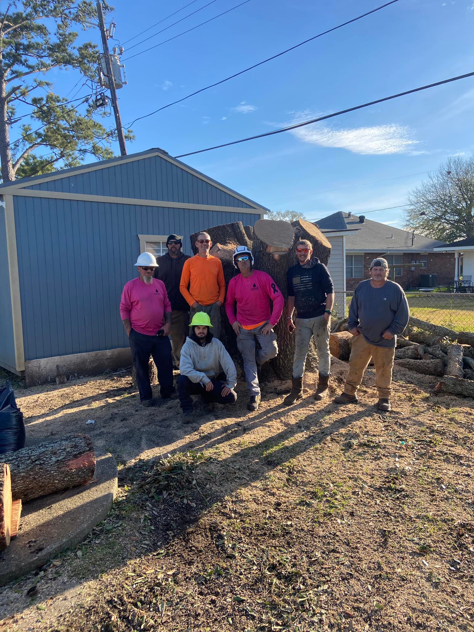 Louisiana Tree Company LLC Image