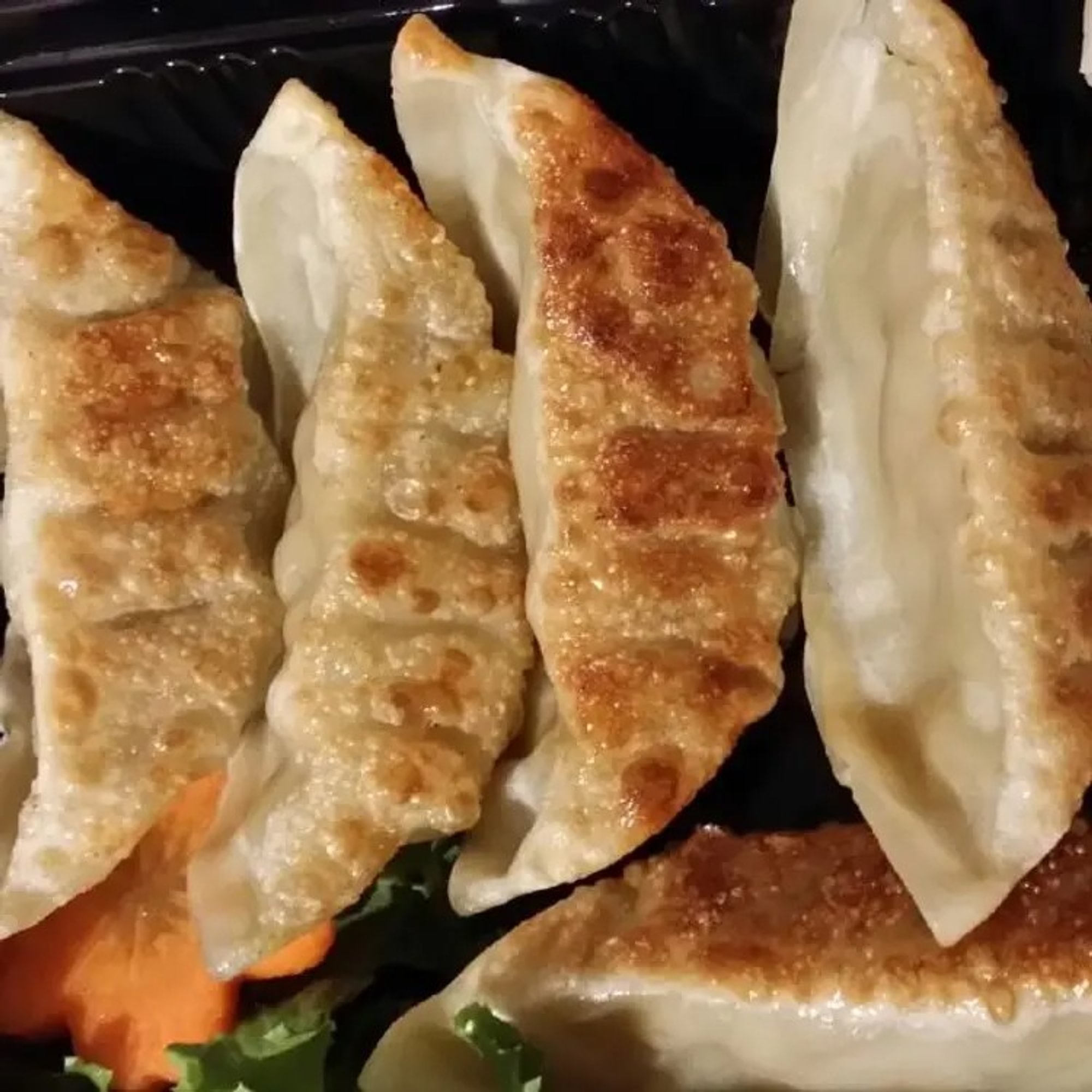 Gyoza
