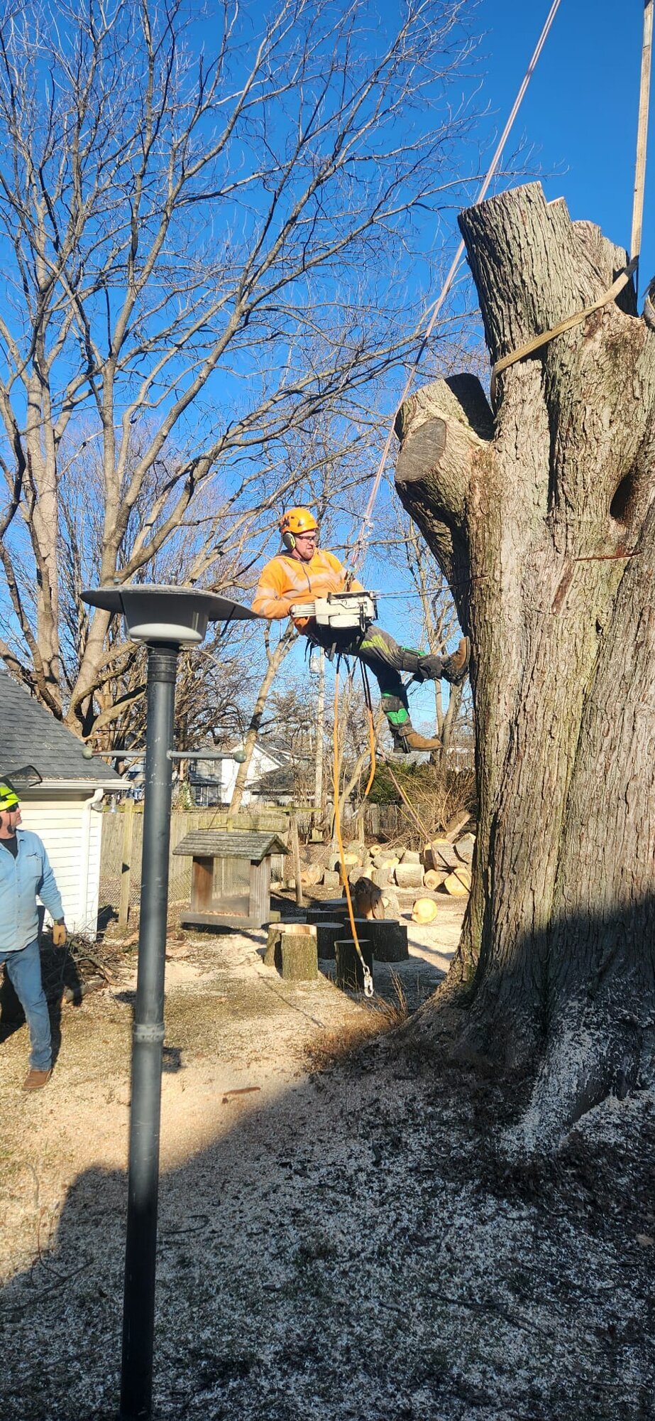 Arborist, LLC Image