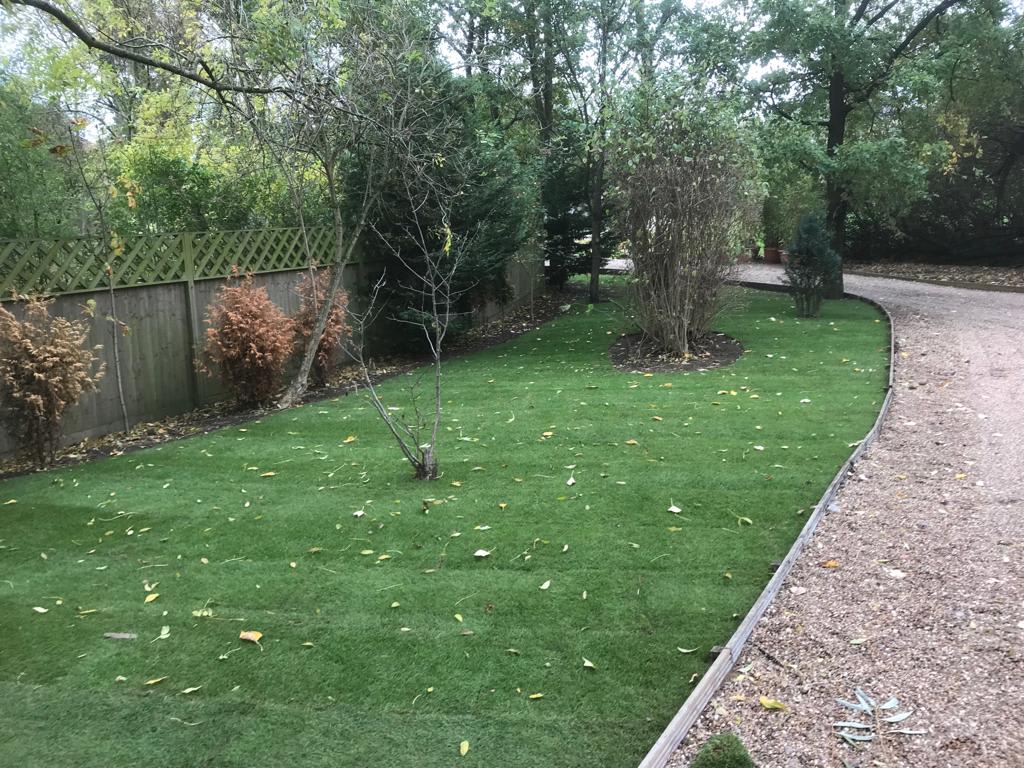 Images Tree & Garden Services