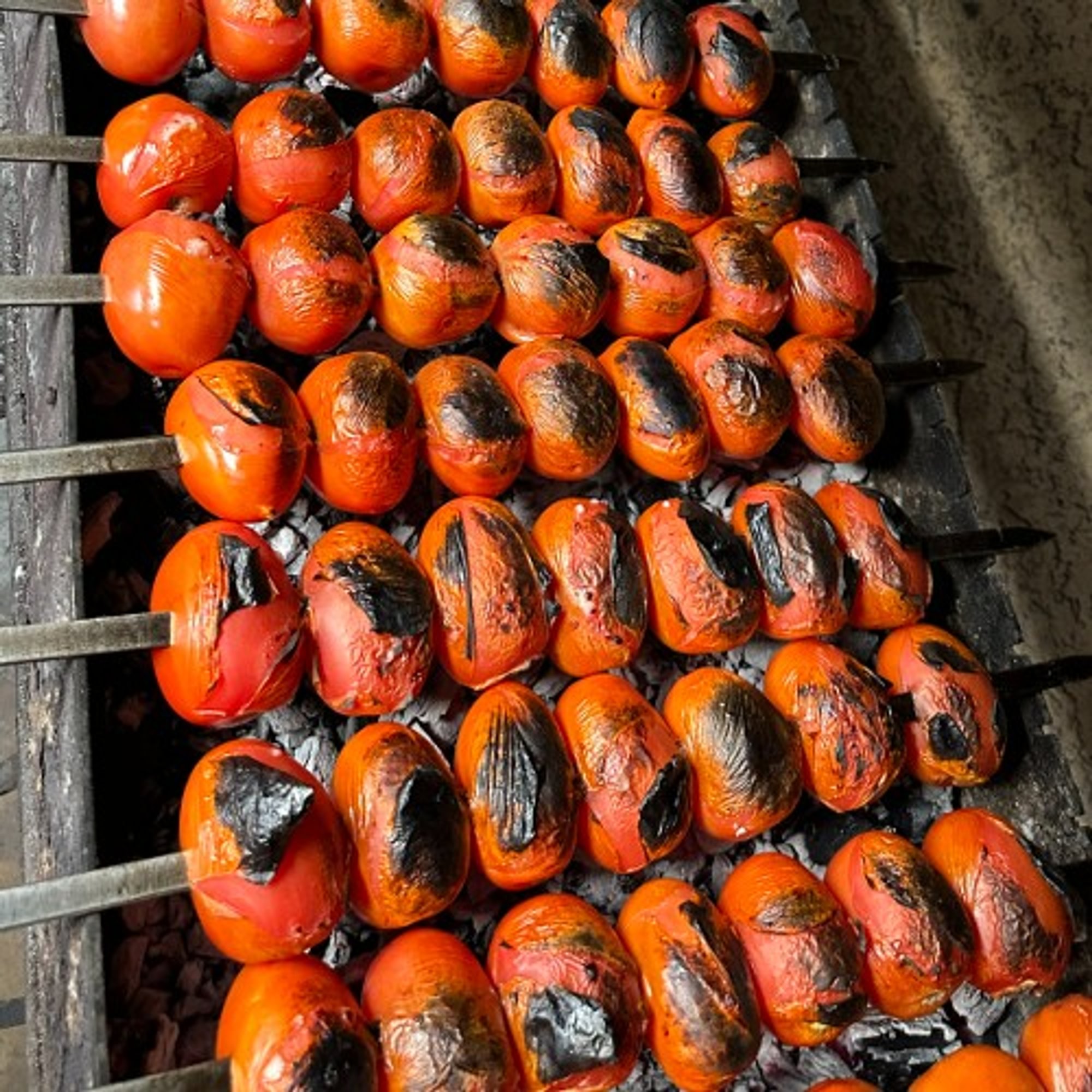 Grilled Tomato