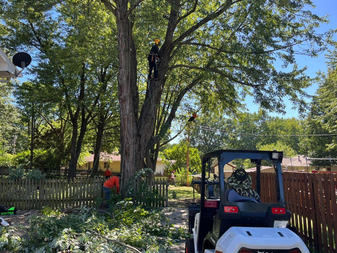 Happy Lemon Tree Service Image