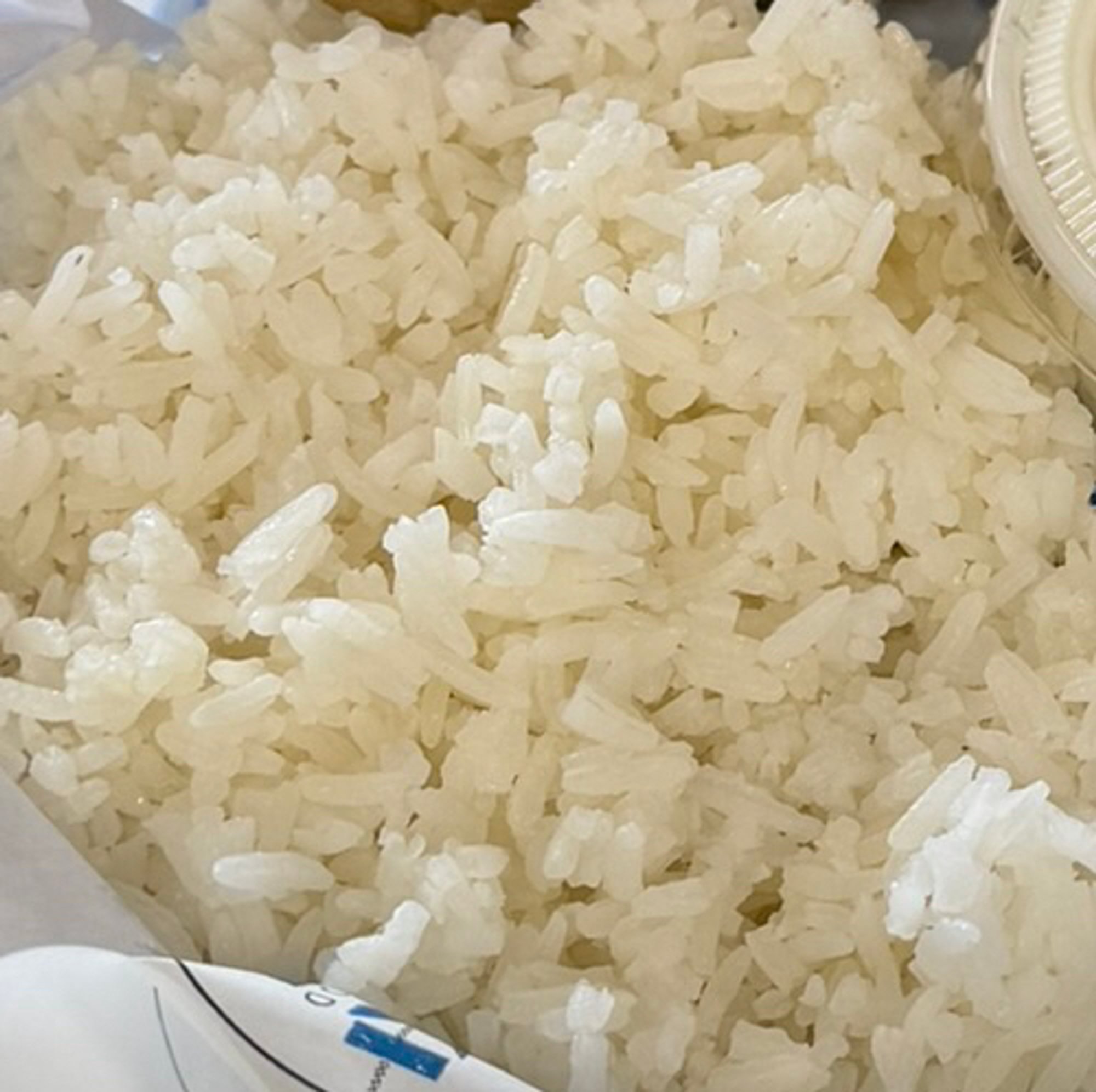 Rice