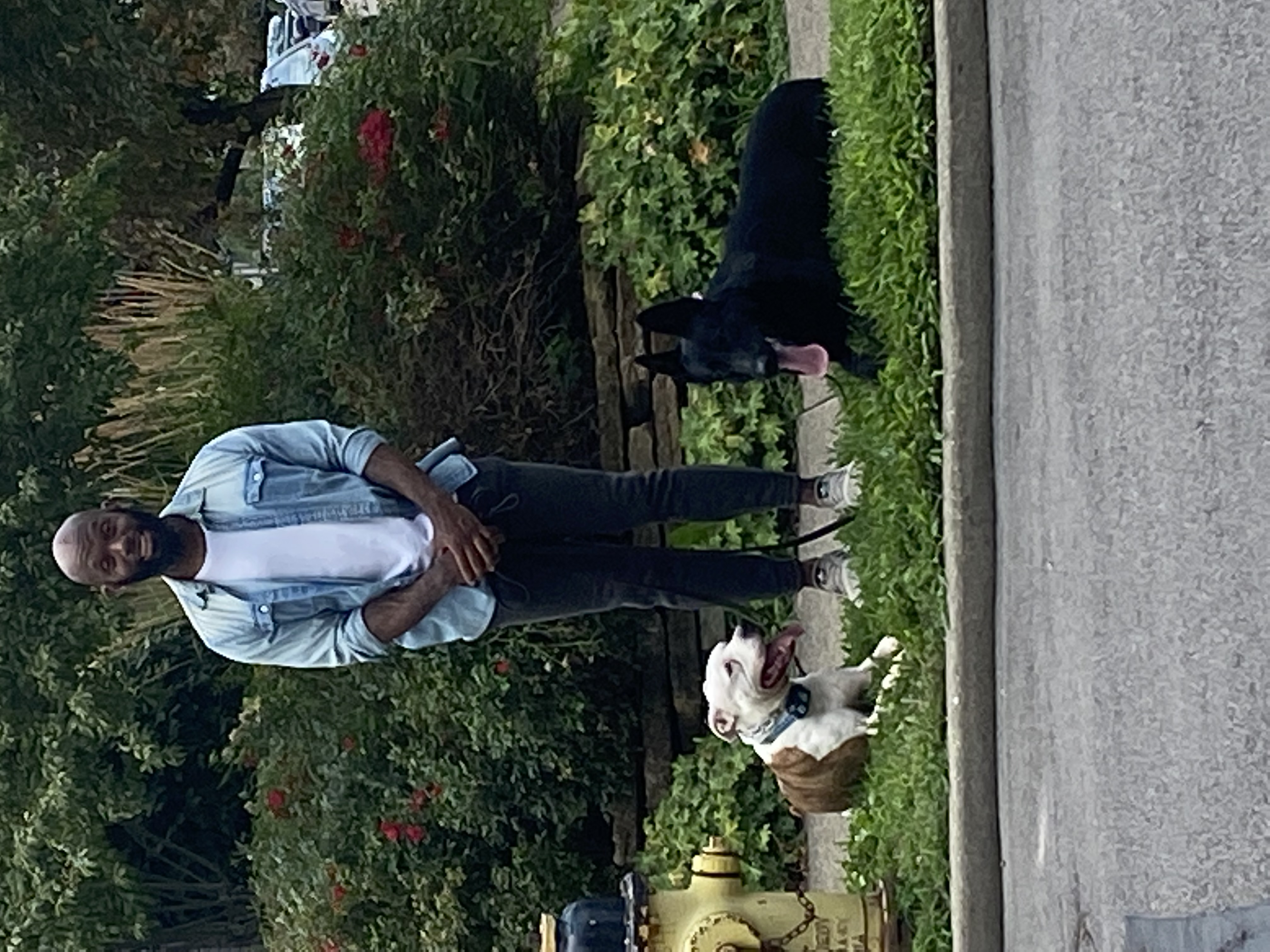 Underdog K-9 Academy LLC Image