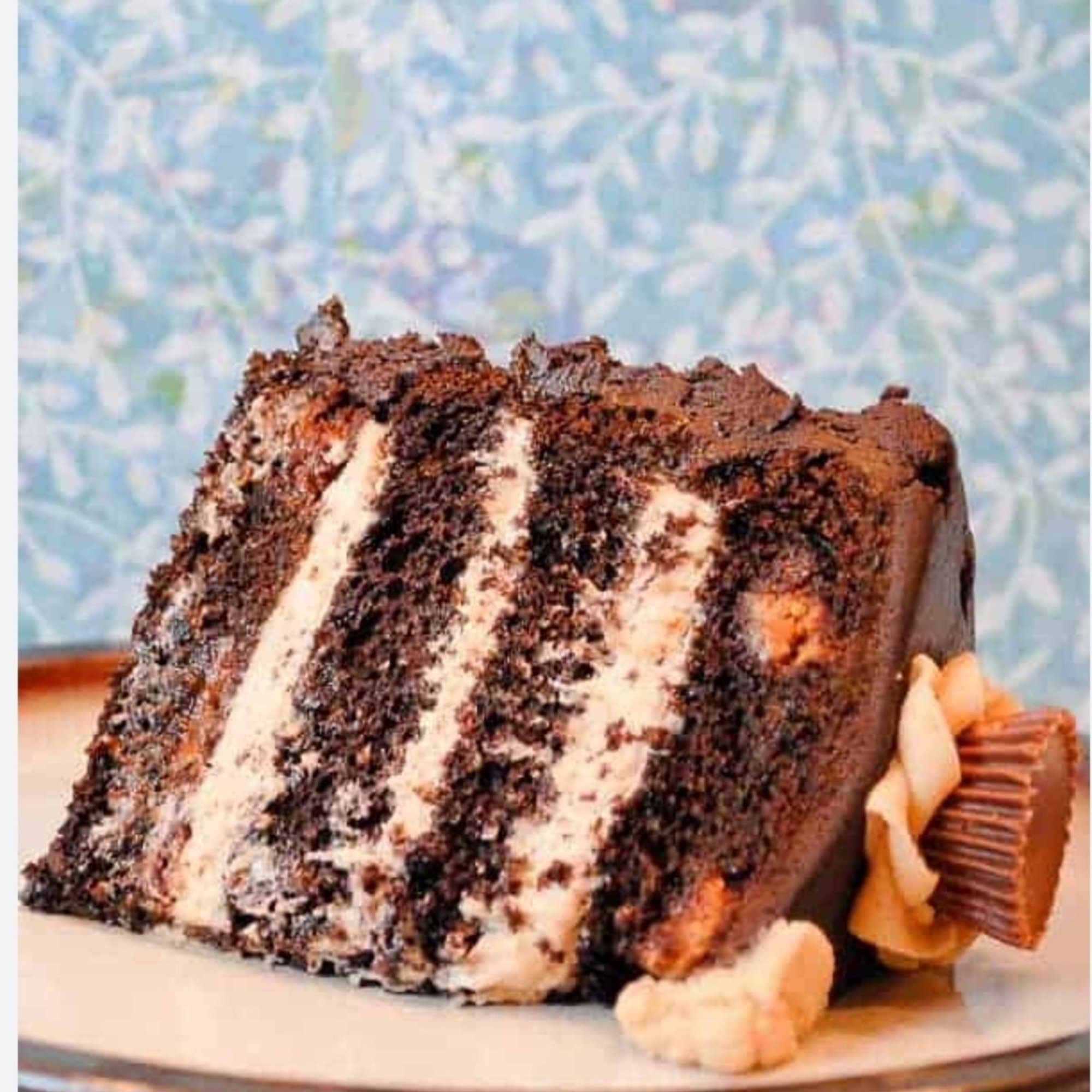 Peanut Butter Explosion