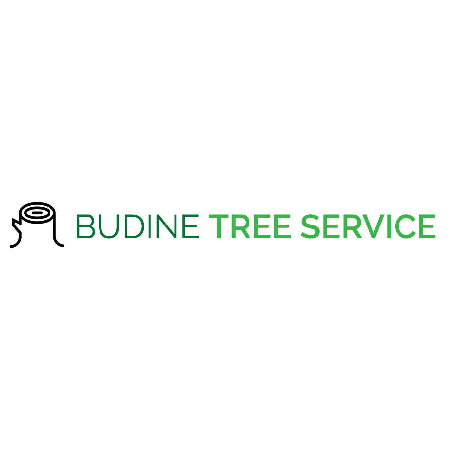 Budine Tree Service Logo