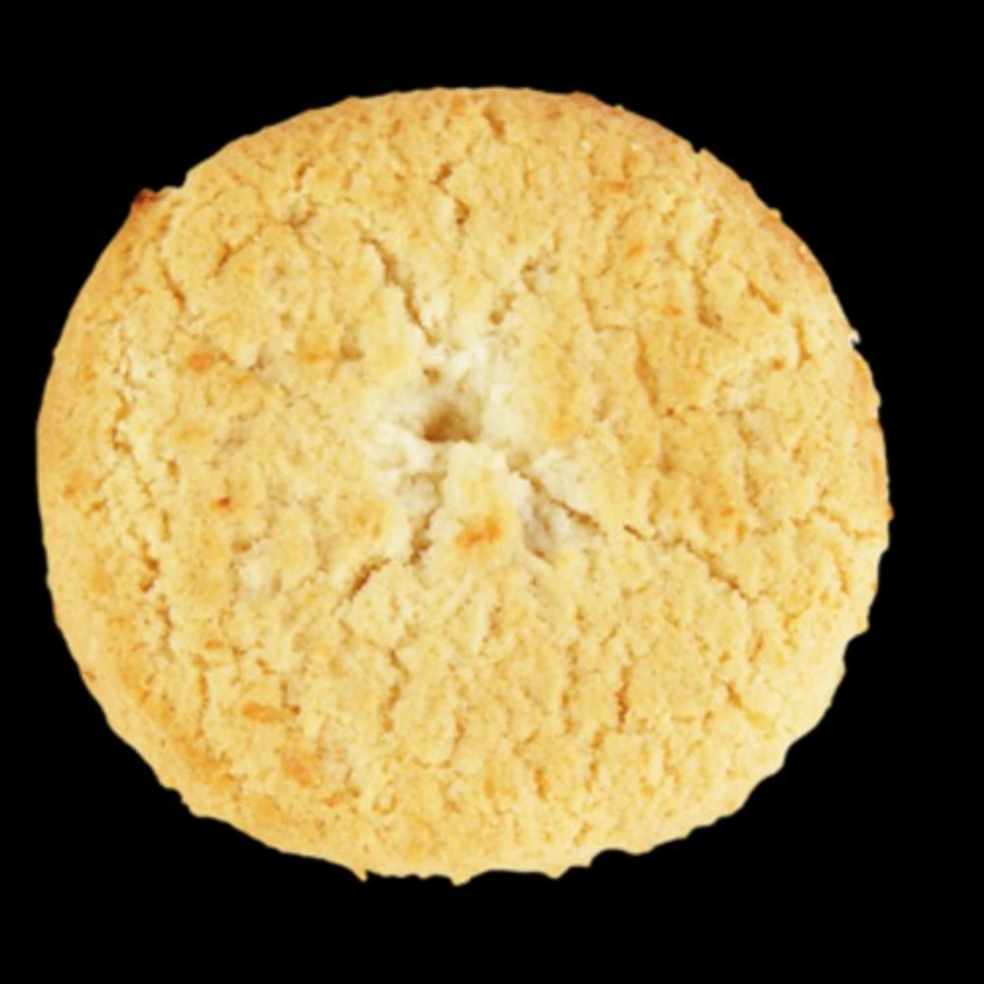 Coconut Cookie--