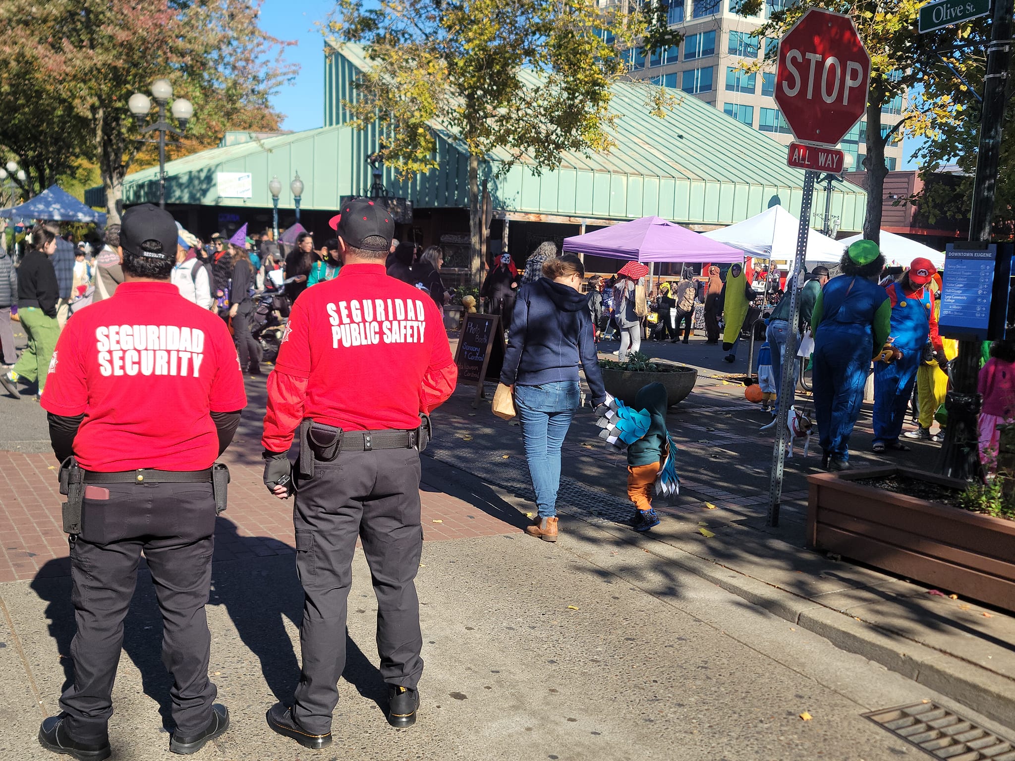 Seguridad Security Image