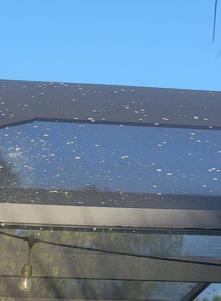 Window Hero Northern Tampa Image