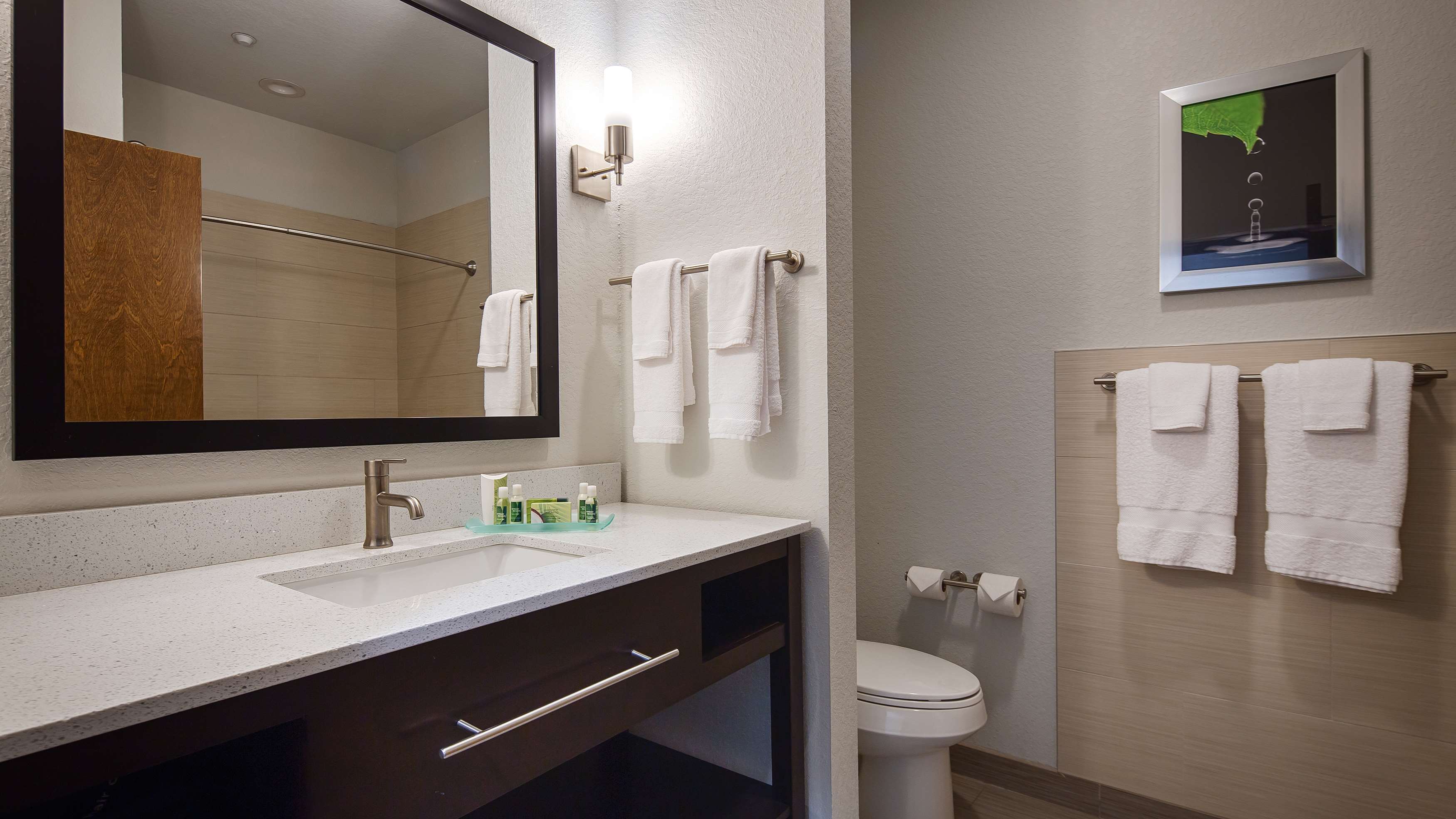 Best Western Plus College Station Inn & Suites Photo