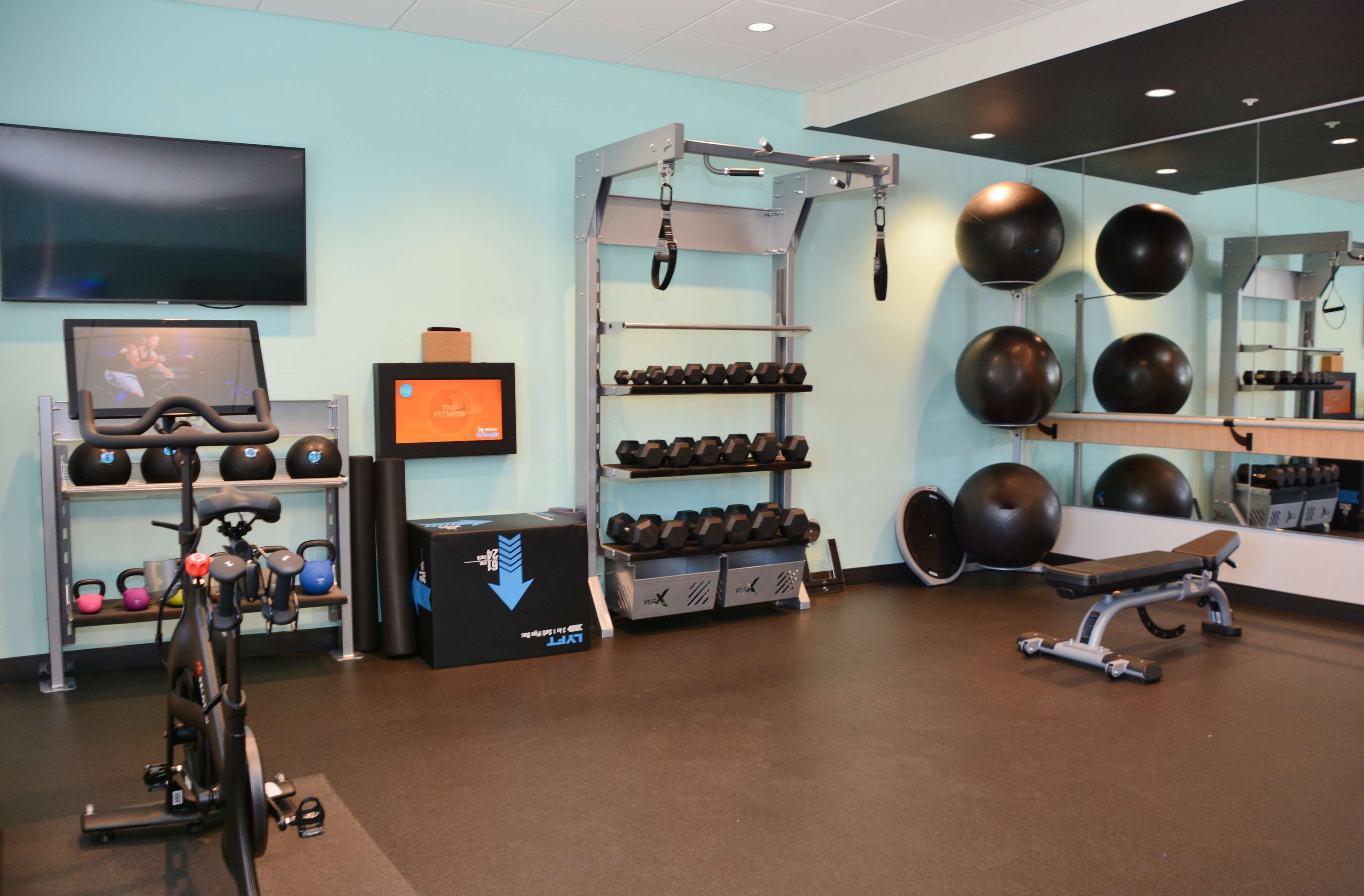 Health club  fitness center  gym