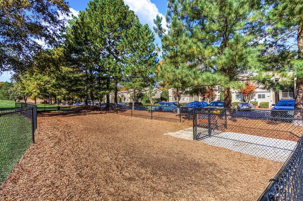 Images Camden Foxcroft Apartments