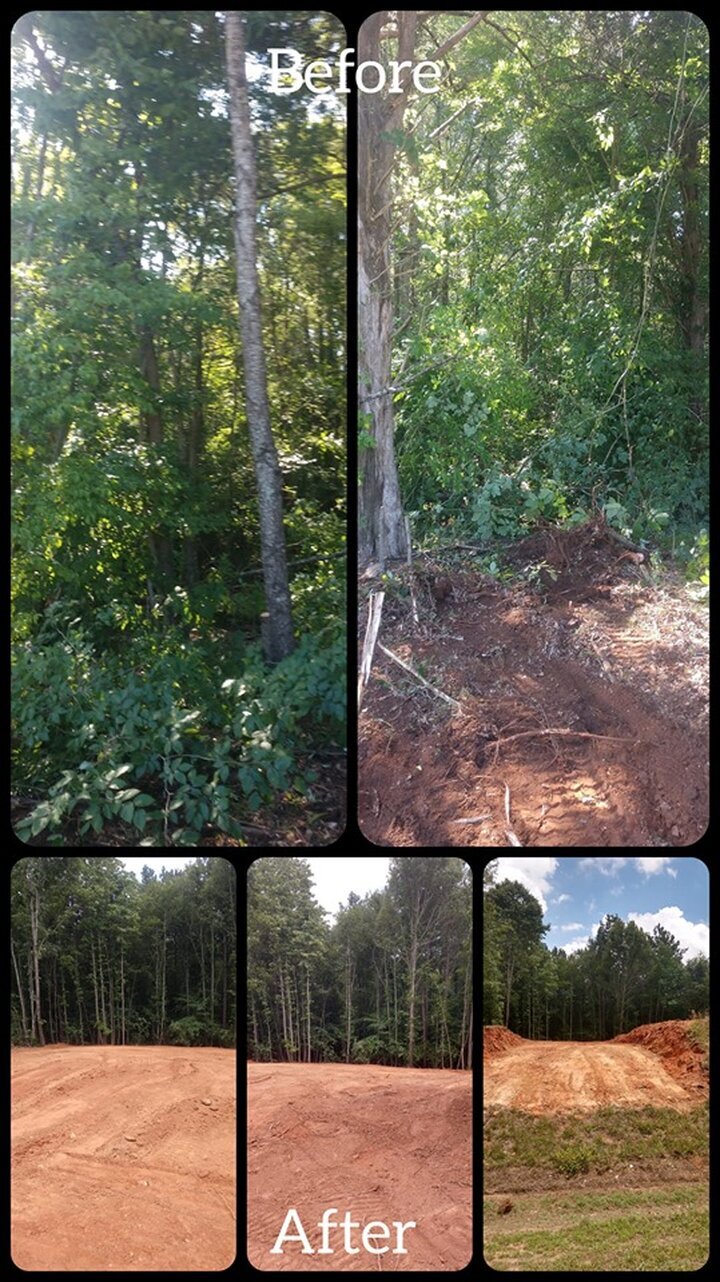 ALPHA TREE CARE LLC Image