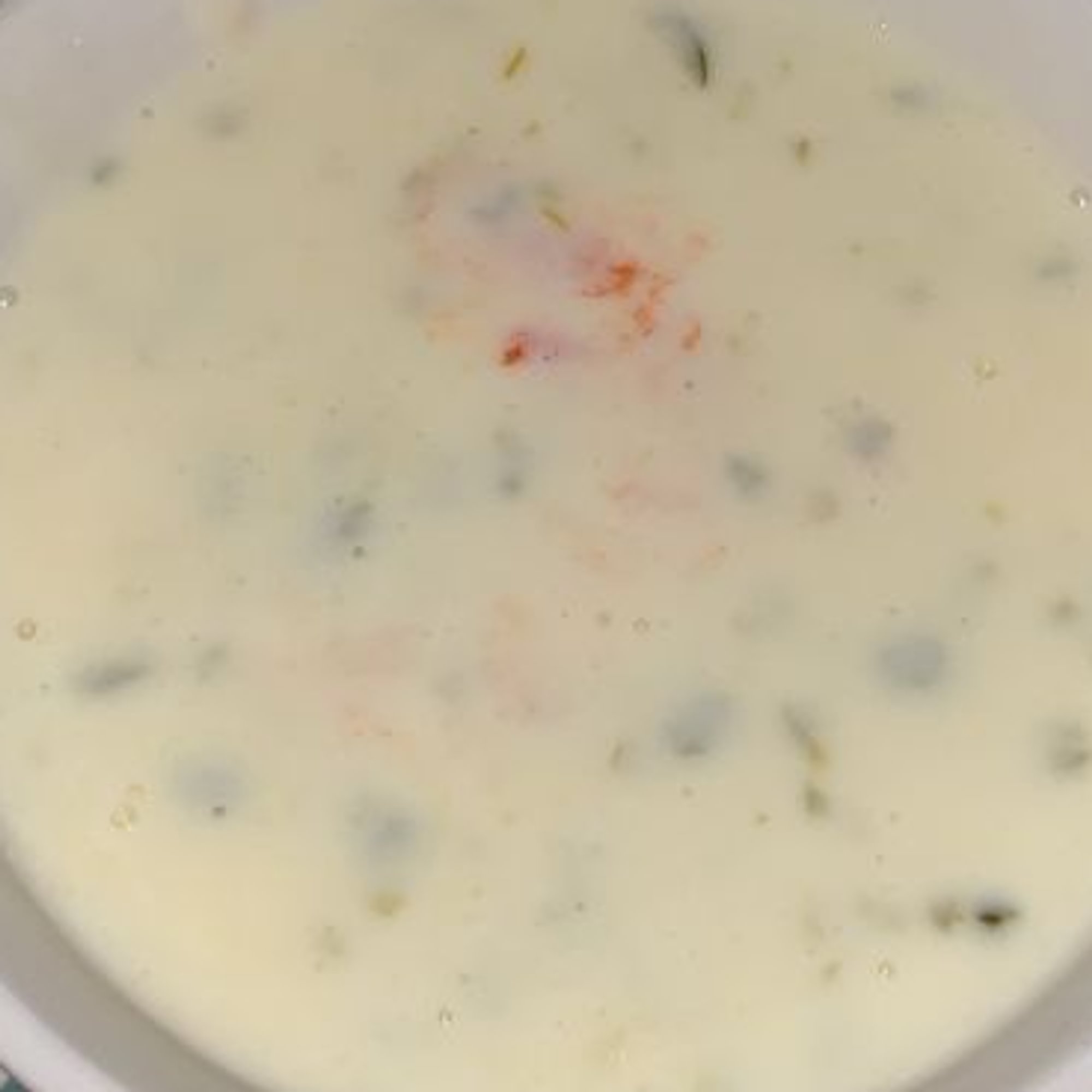 Cheese Dip